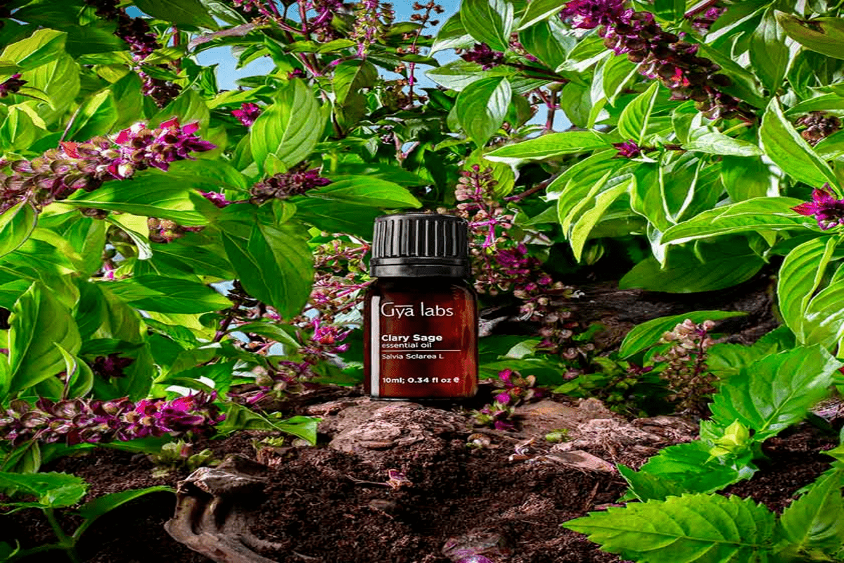 clary-sage