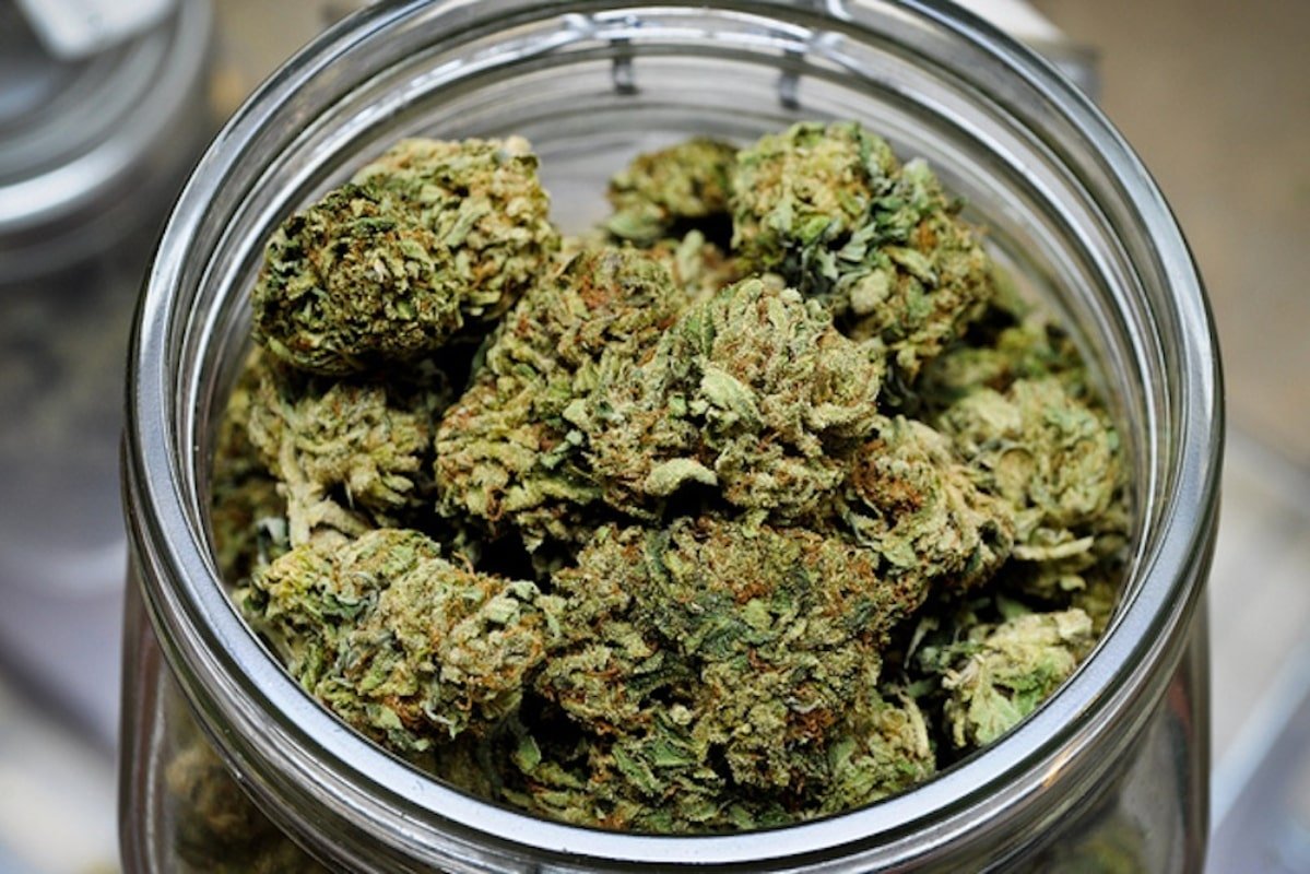 bubba-kush-cbd